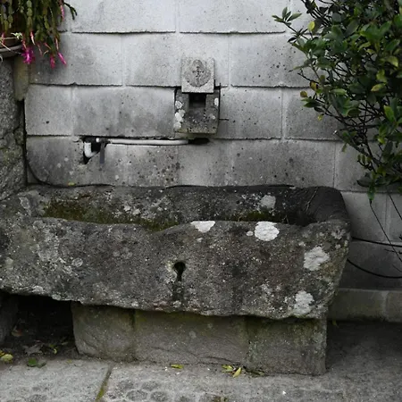 O Monteiriño * Arbo